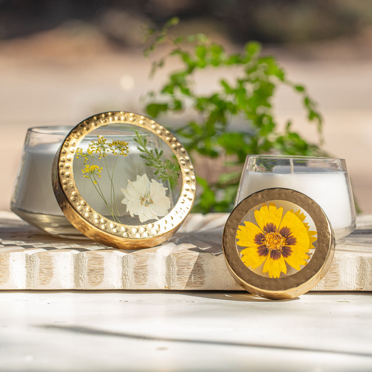 Accent Pressed Floral Candle - Honey Tobacco