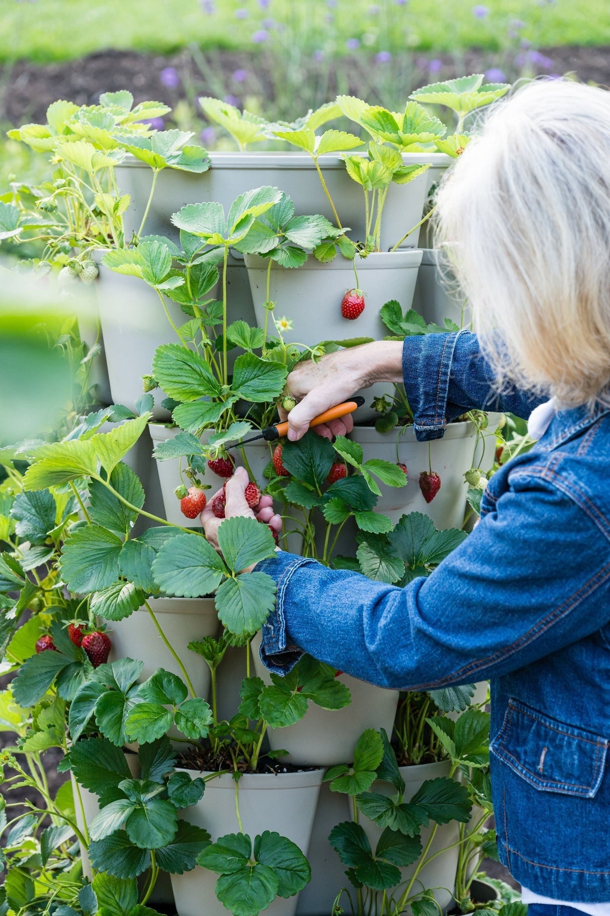 7 Tier GreenStalk Garden Leaf Vertical Planter - Basic Texture