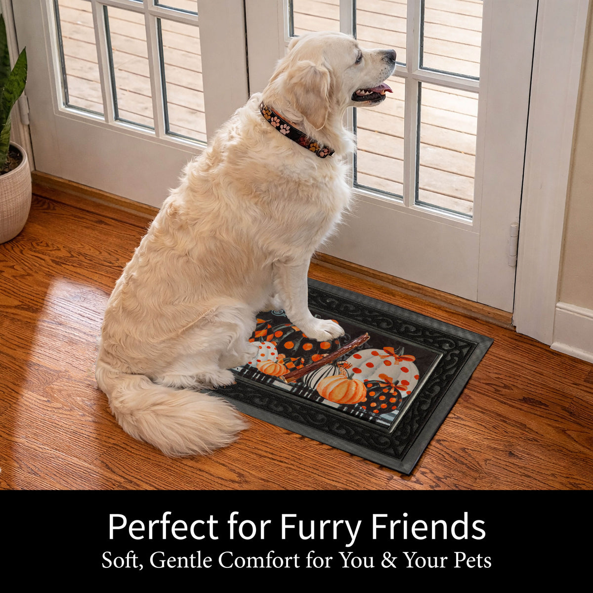 https://asset.productmarketingcloud.com/api/assetstorage/3909_fa8f28df-8963-4b8d-9a1b-3a851bfa46ee