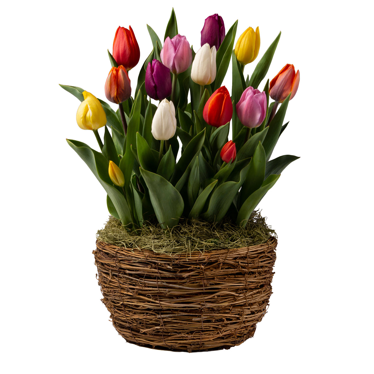 https://asset.productmarketingcloud.com/api/assetstorage/3909_593b874c-d8be-428b-af90-c5ff6fa1cdf4