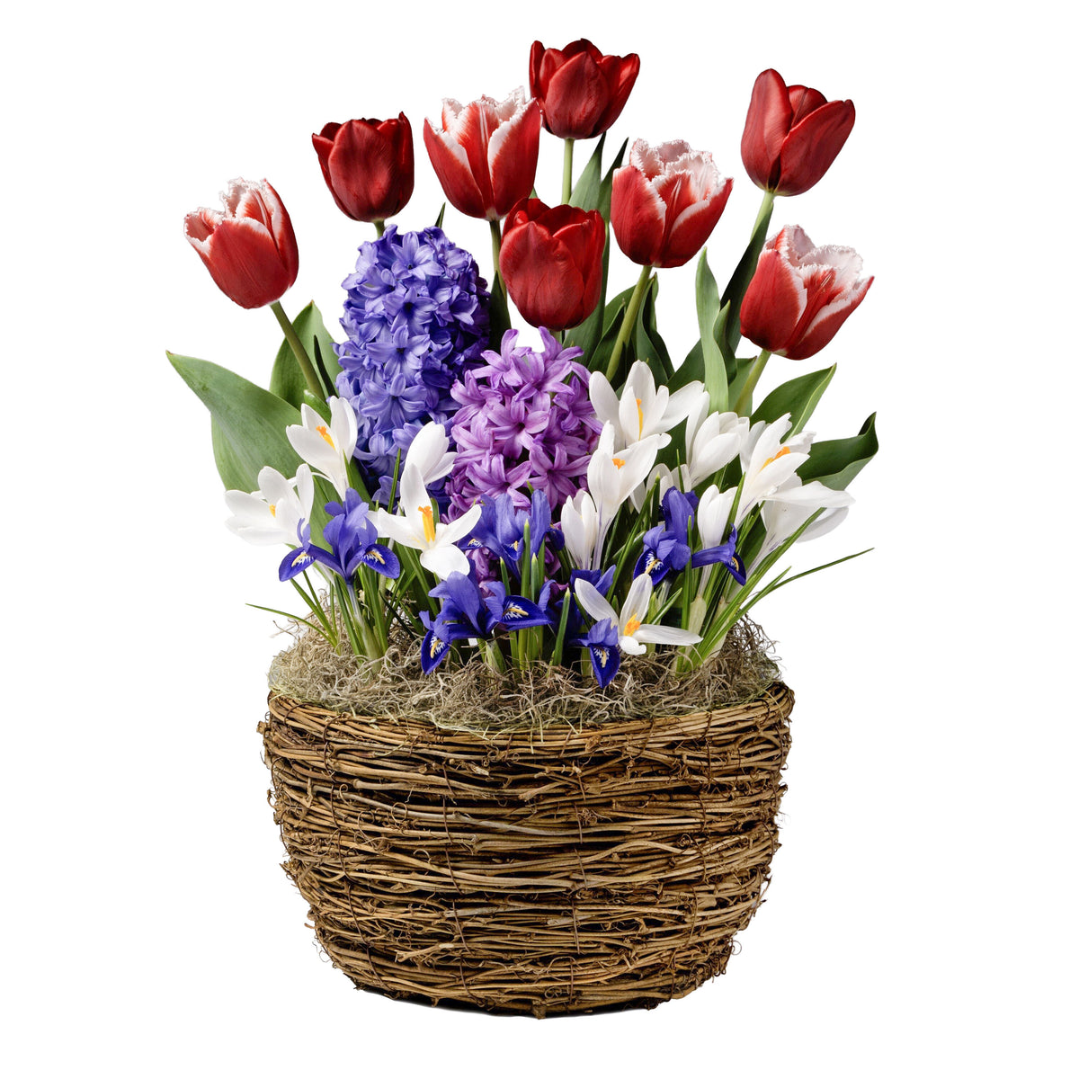 https://asset.productmarketingcloud.com/api/assetstorage/3909_202737ea-a1b9-4fd9-b346-fc42620a267a