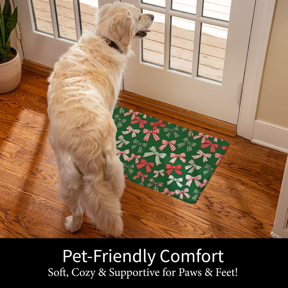https://asset.productmarketingcloud.com/api/assetstorage/3909_88fde766-e24d-4b46-9caf-65ff148e650c