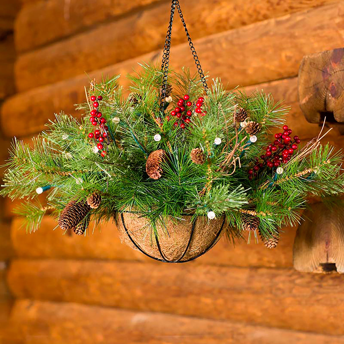 hanging plant christmas Holiday Hanging Basket | Holiday Greenery