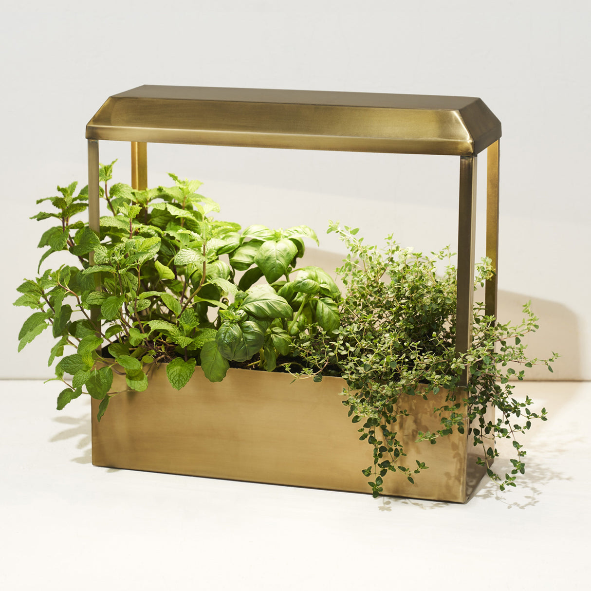 Smart Growhouse