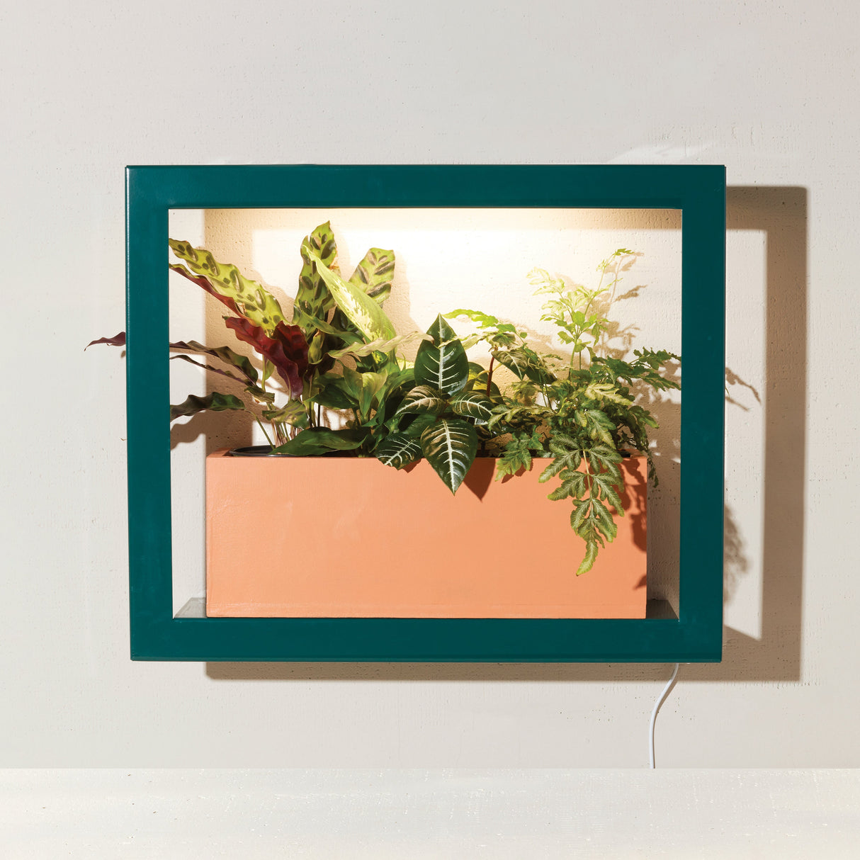 Smart Standard Growframe