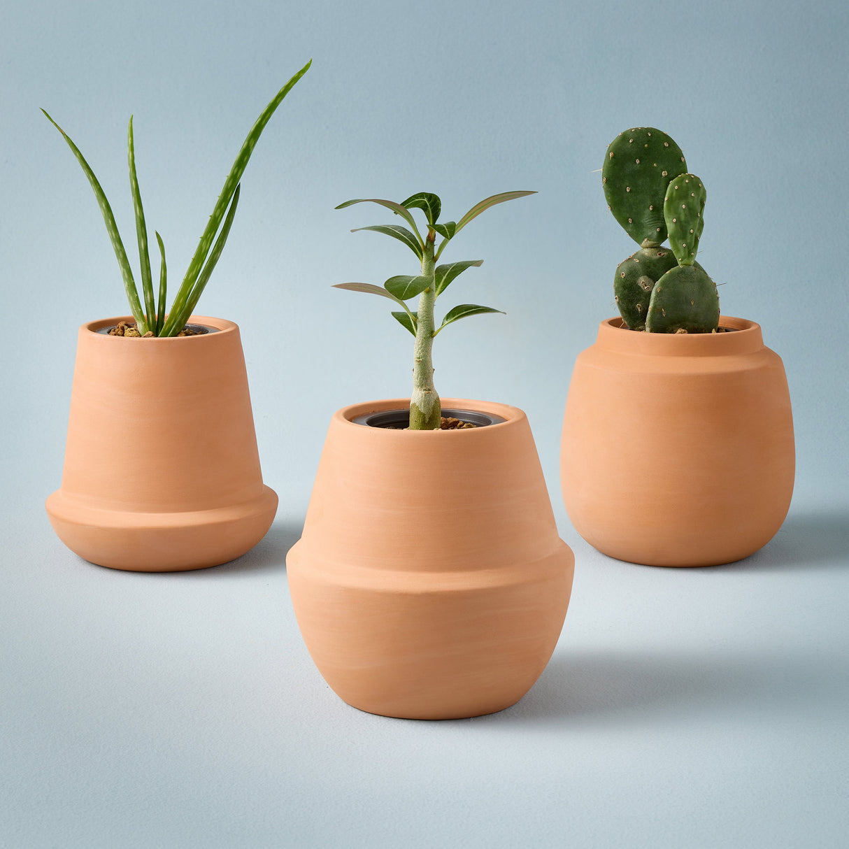 Modern Terracotta Grow Kits