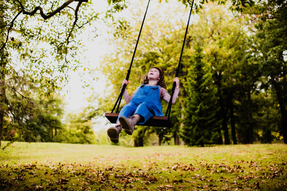 Dark Brown Stained Classic Bench Swing