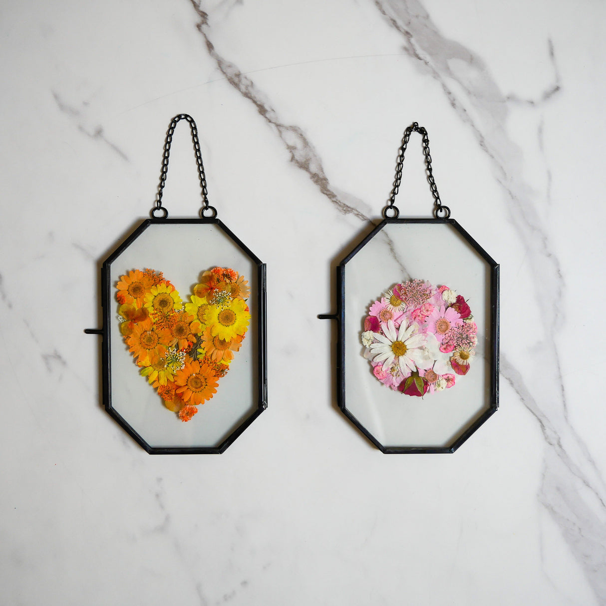 Framed Pressed Flowers Kit