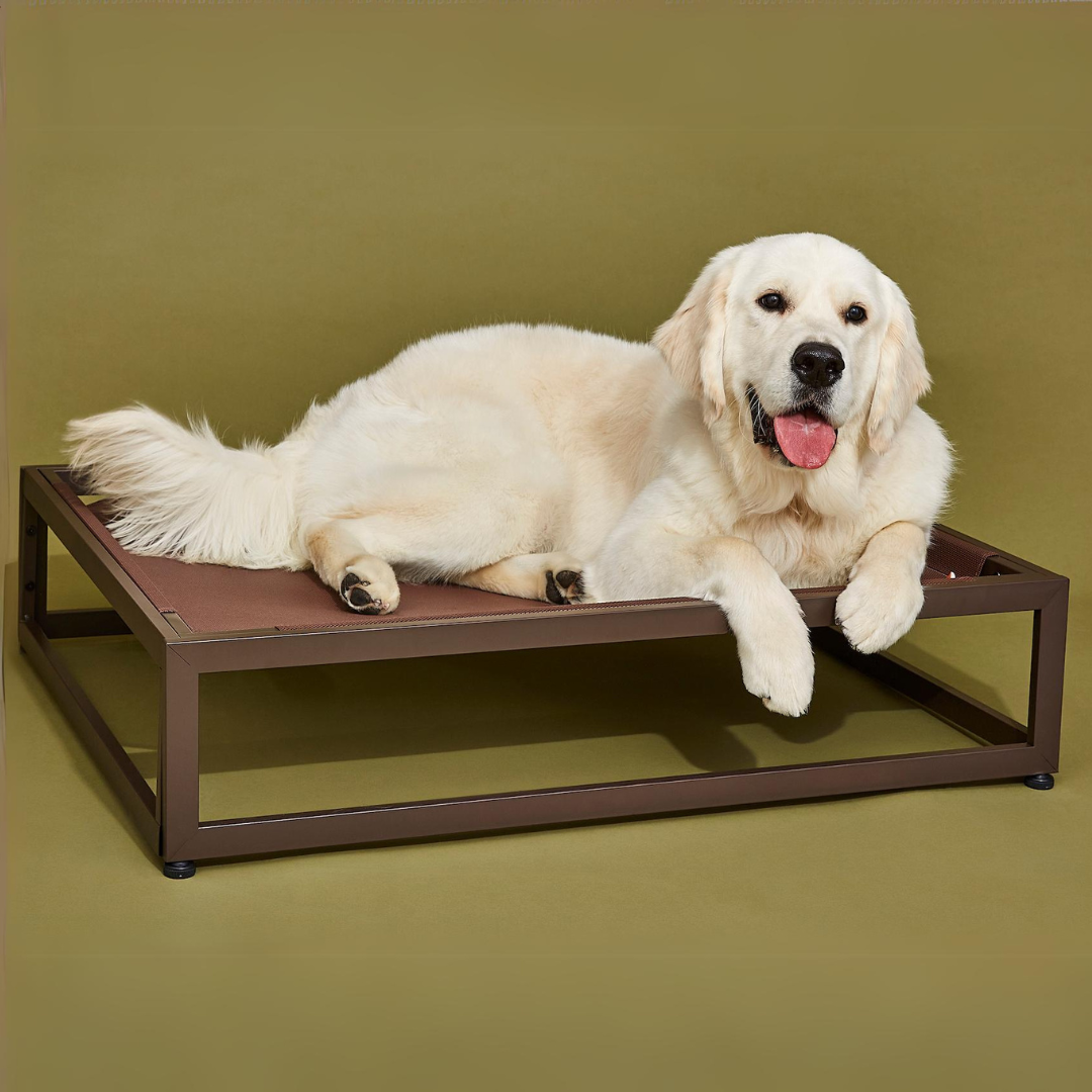The Up Pup Dog Cot