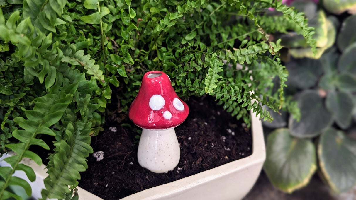Small Toadstool Watering Spike