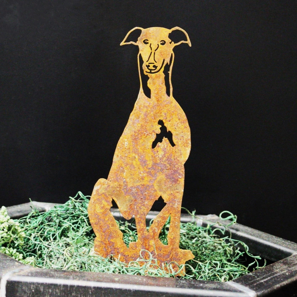 Greyhound Garden Stake