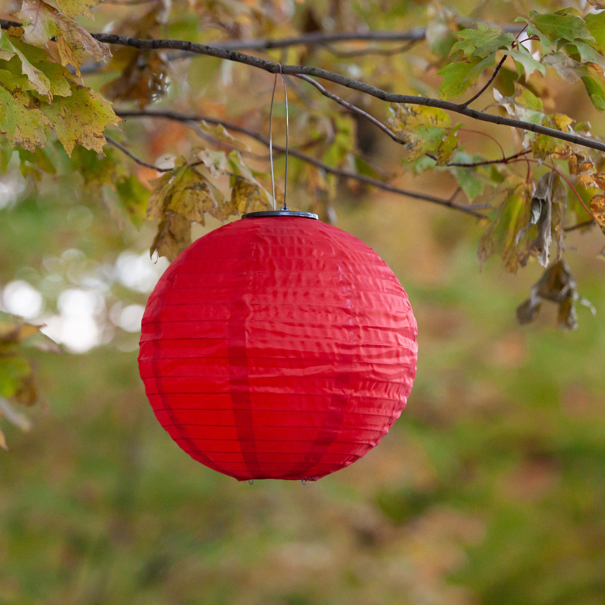 Set of 3 Red, White, and Blue Soji 12" Globe
