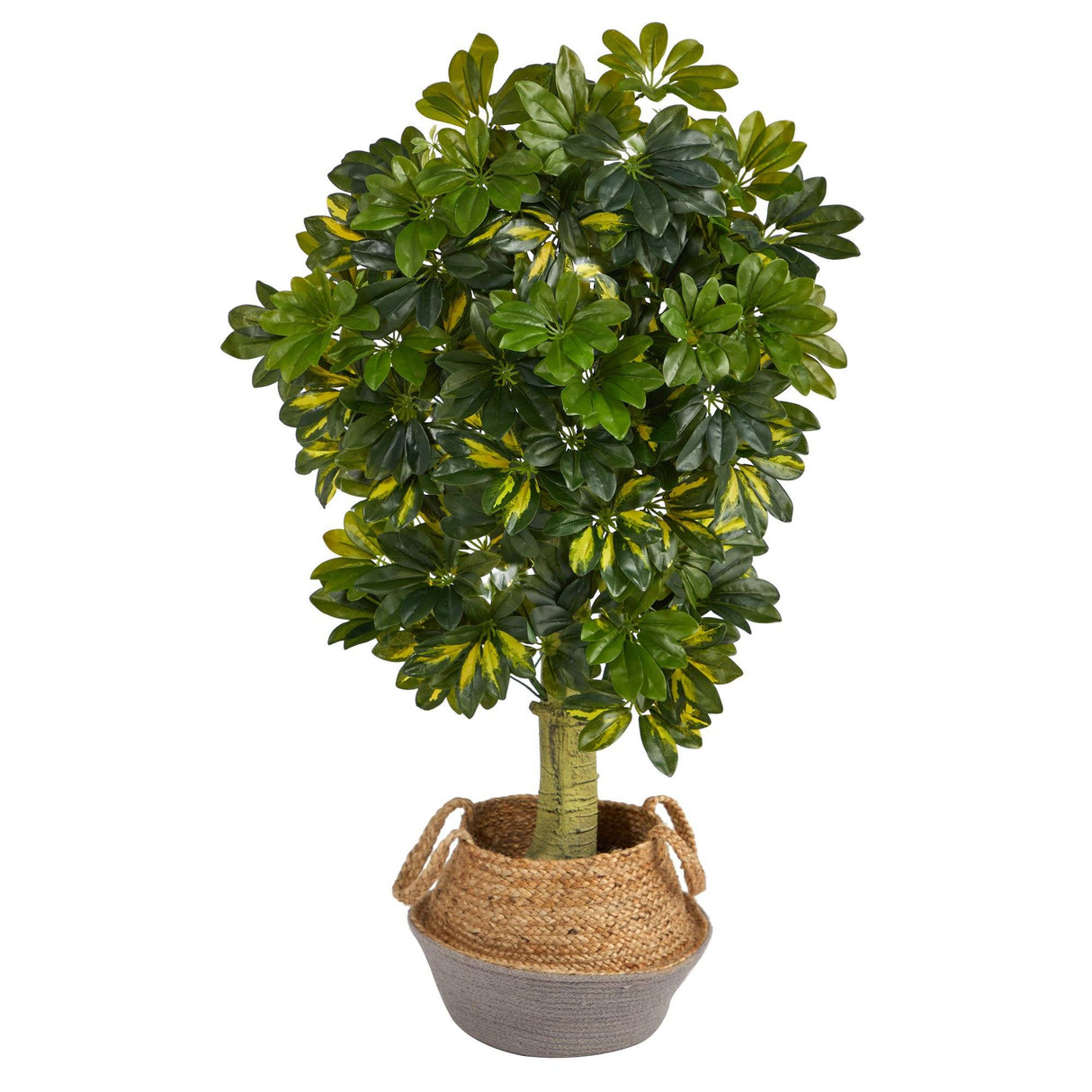 Schefflera Artificial Tree in Cotton & Jute Gray Planter, 4’
