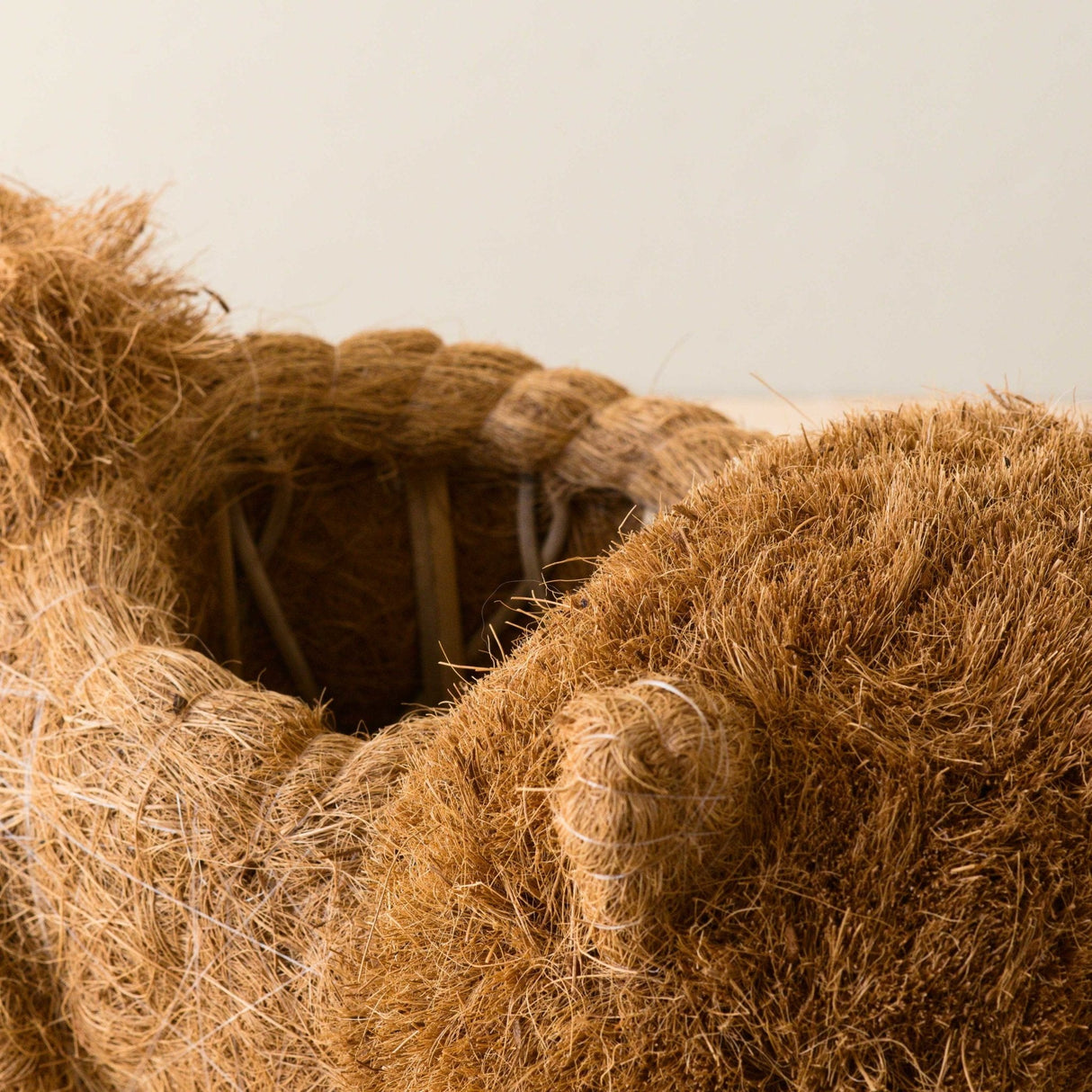 Chow Chow Planter - Dog Plant Pot