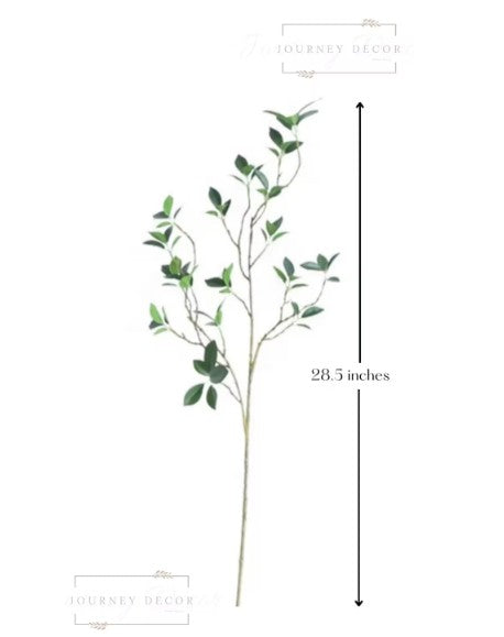 Real Touch Fiscus Microcarpa Stem - Bundle of 4 Stems