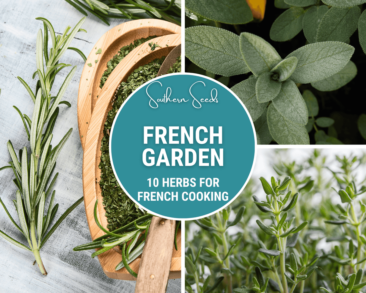 French Garden Seed Collection – 10 Varieties