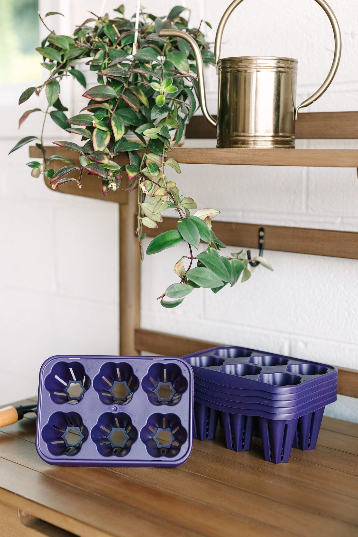 GreenStalk Garden Seed Starter Kit with Domes