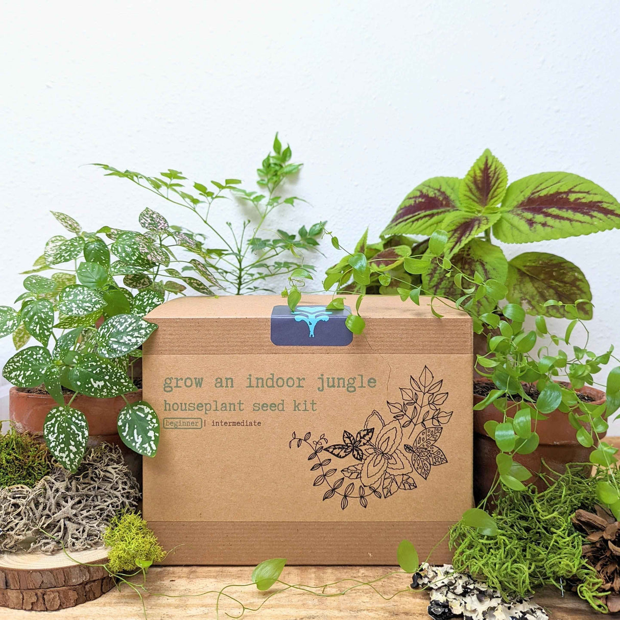"Grow an Indoor Jungle" Houseplant Seed Kit