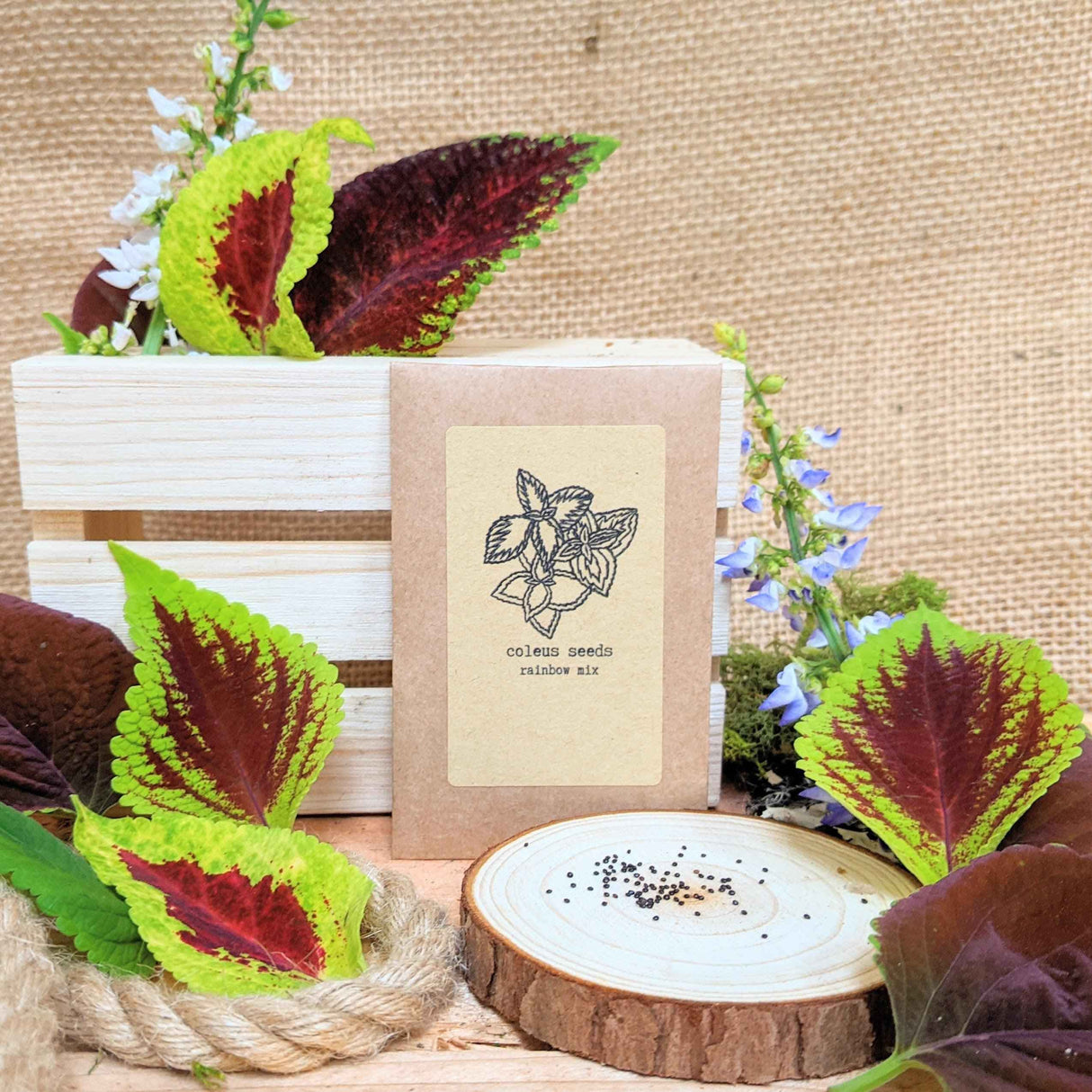 "Grow your own Jungle" Houseplant Seed Collection