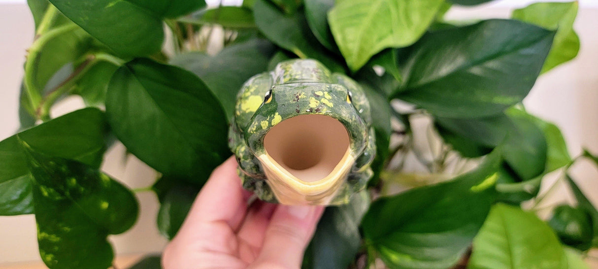 Open-Mouth Frog Plant Watering Spike