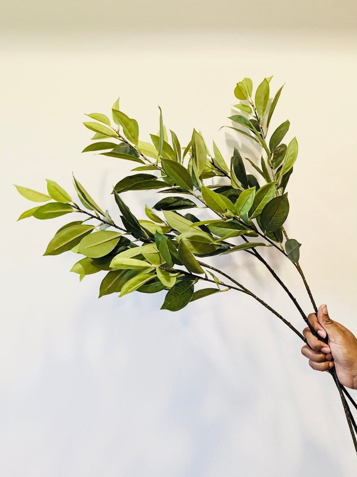 Artificial Bay Leaf Stems - Bundle of 4