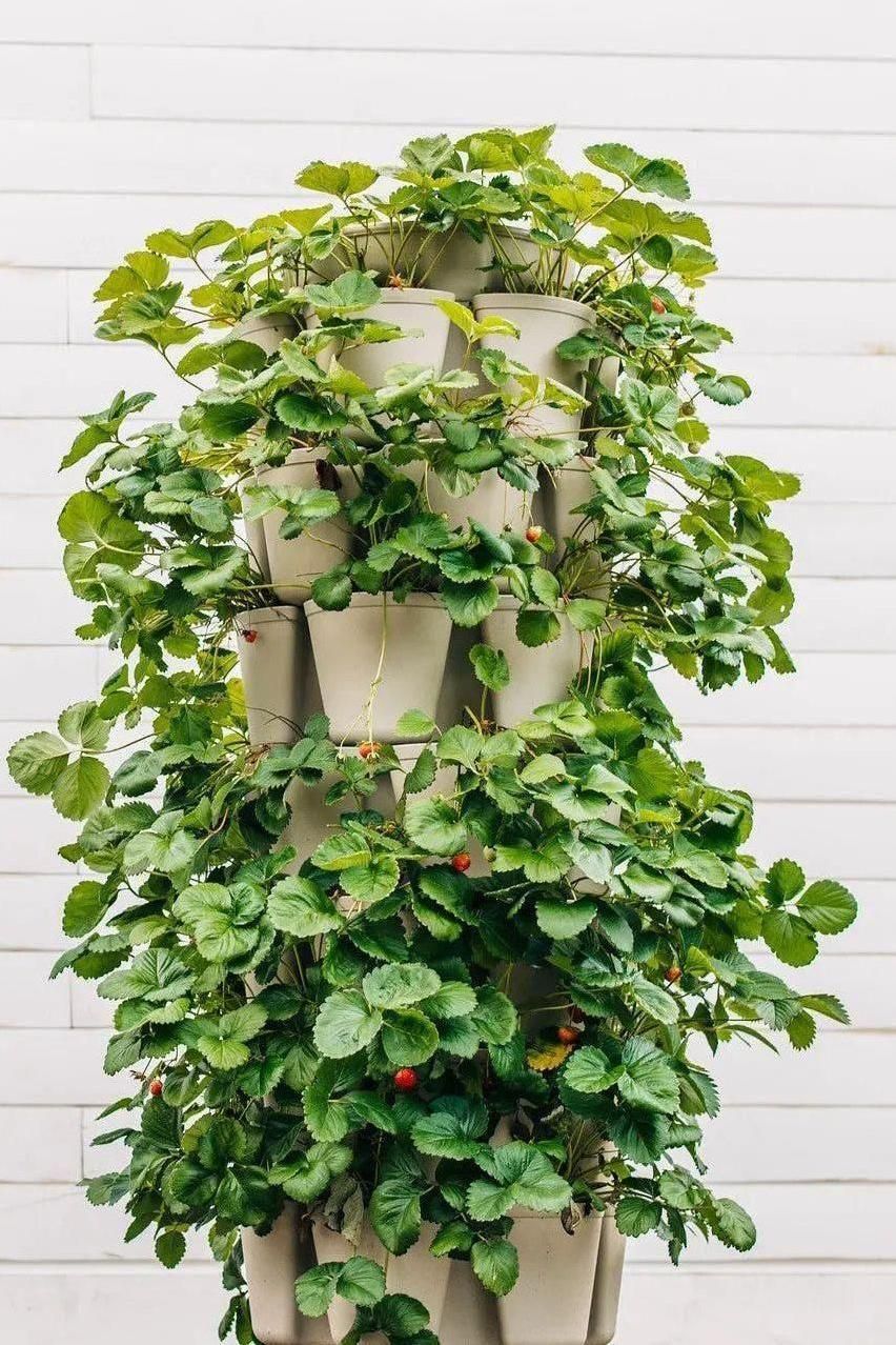 7 Tier GreenStalk Garden Leaf Vertical Planter - Basic Texture