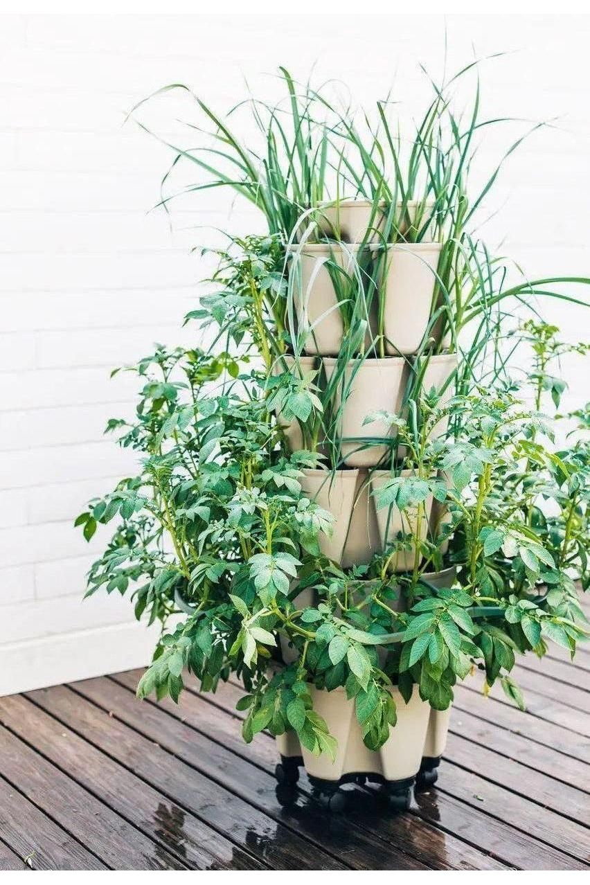 GreenStalk Garden Plant Support