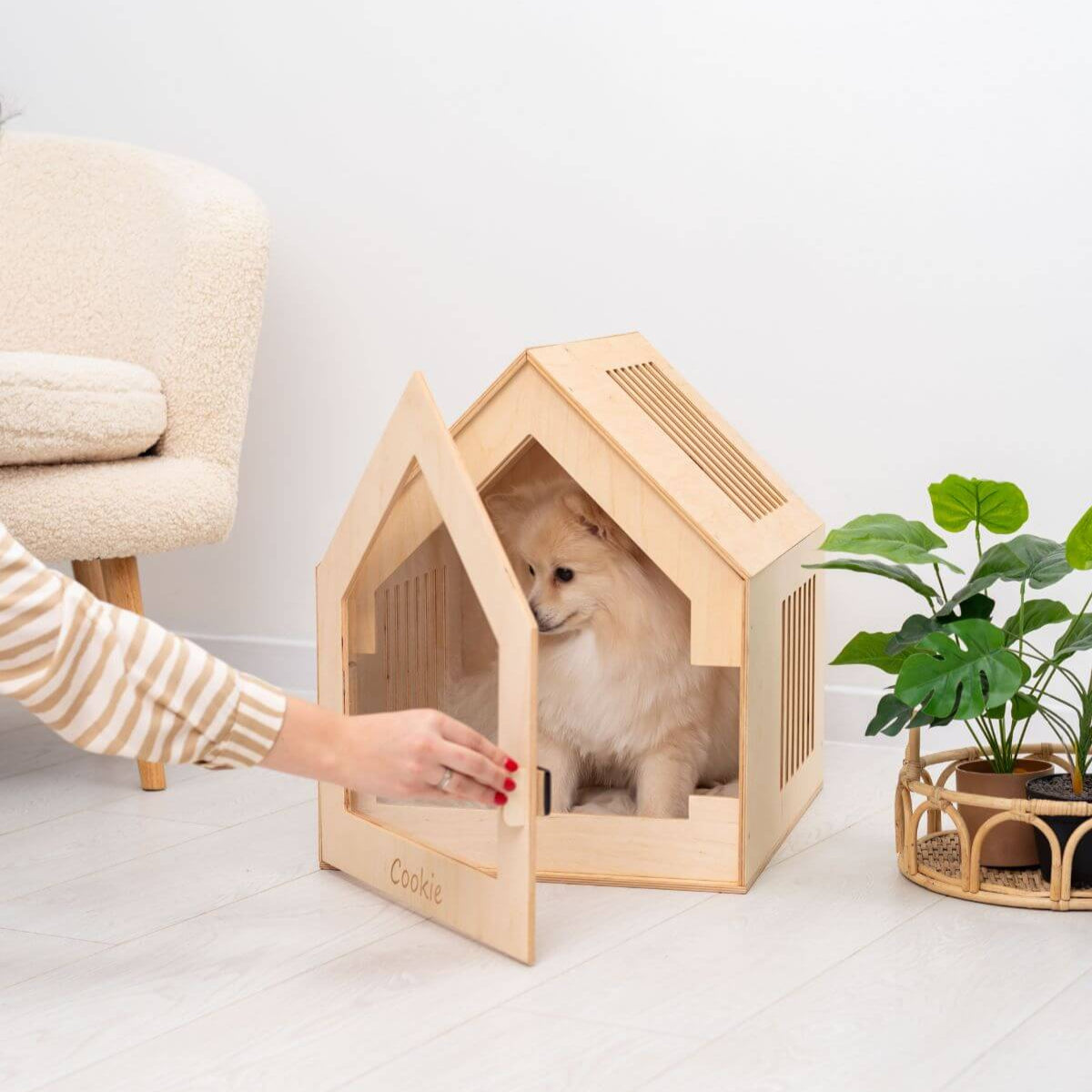 Modern Indoor Dog House