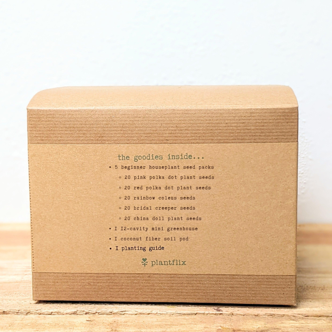 "Grow an Indoor Jungle" Houseplant Seed Kit