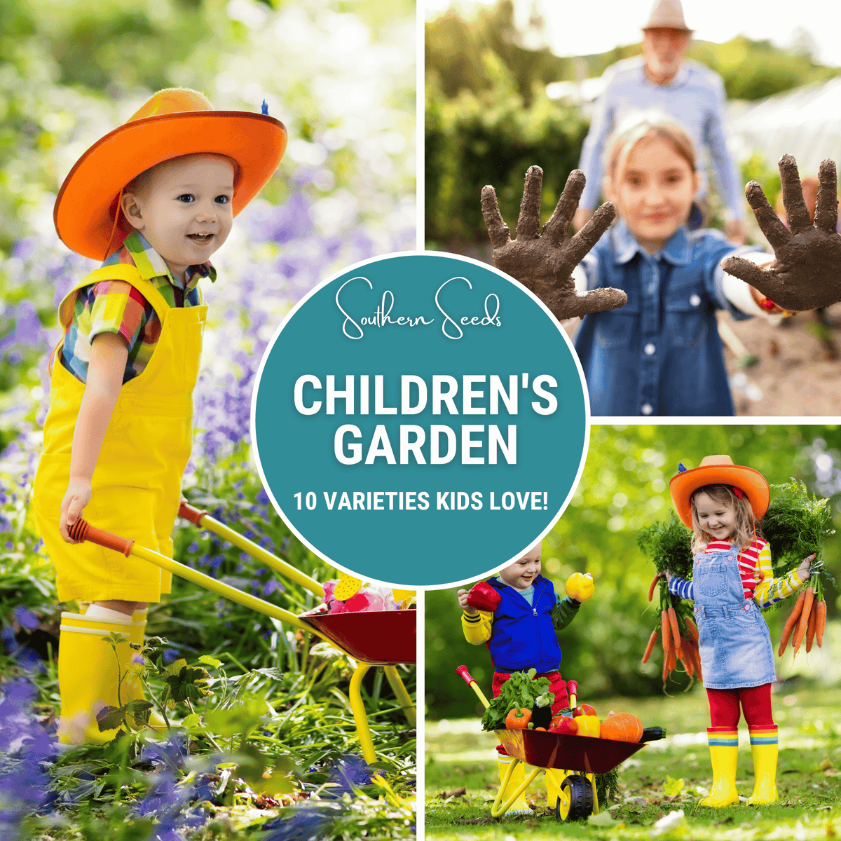 children's garden seeds Kids Garden Seed Collection – 10 Varieties – Plow & Hearth