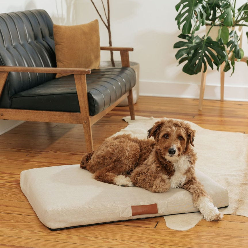 Ecru | Modern Dog Bed or Bed Cover