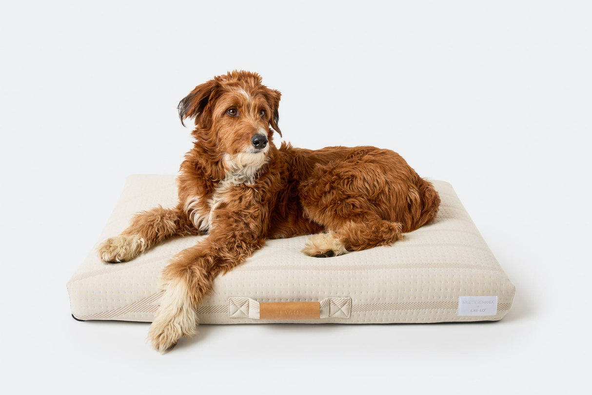 Brigette Romanek | Cream Dog Bed or Bed Cover