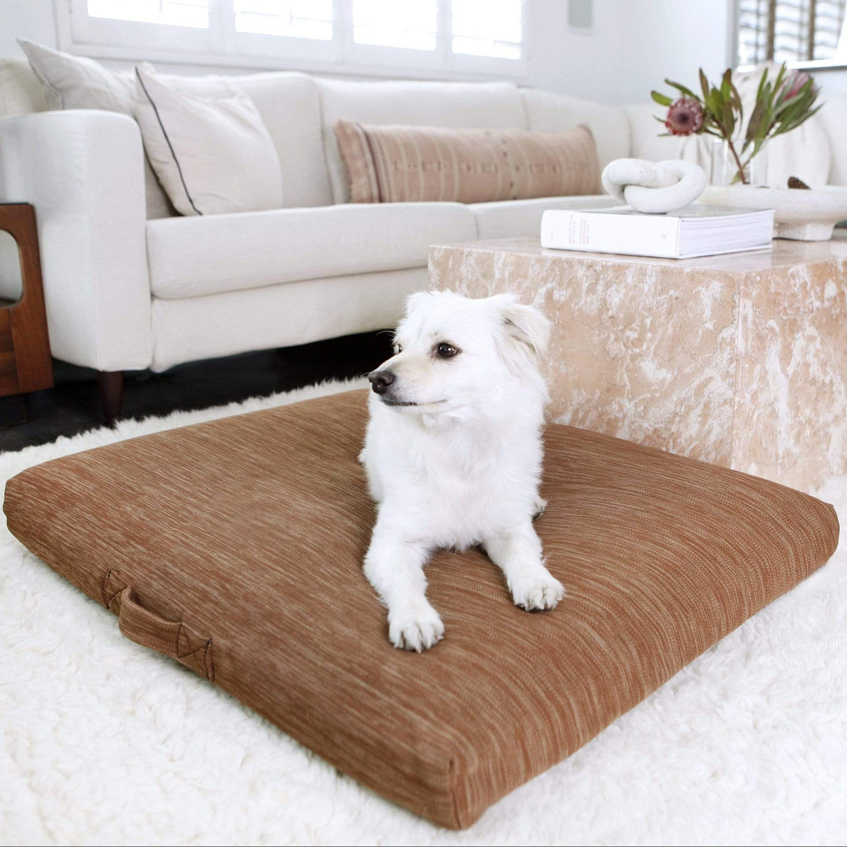Terra | Modern Dog Bed or Bed Cover