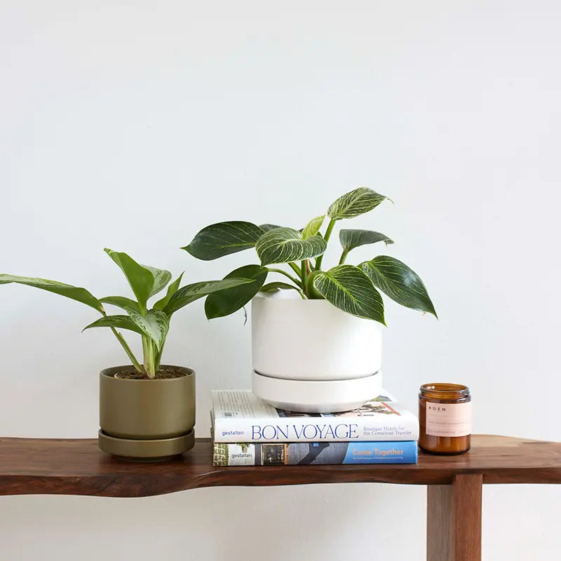 Round Two Planters