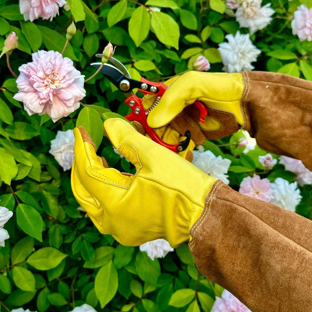 Long Garden Gloves - Rose Pruning Gloves (Soft Cowhide)