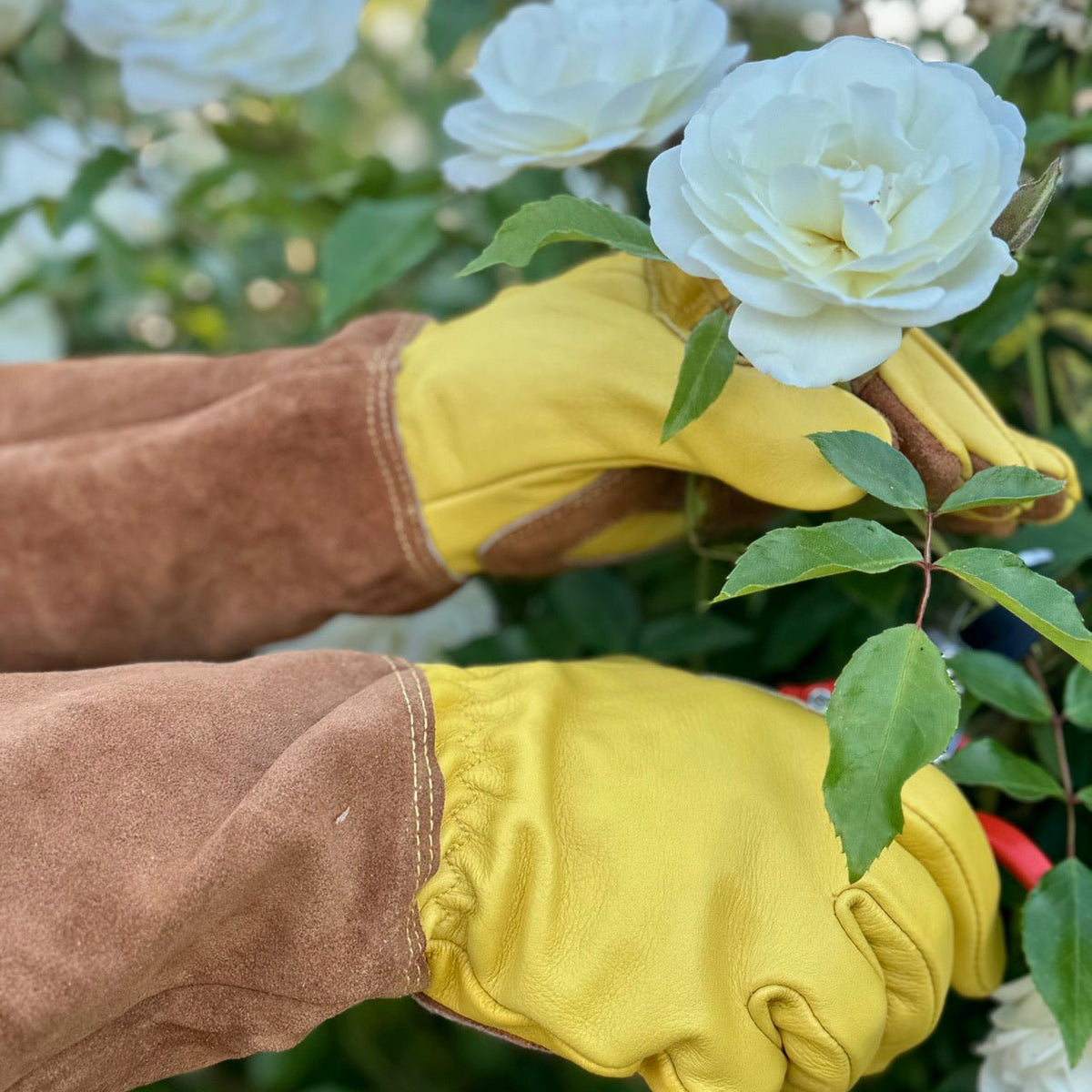 Long Garden Gloves