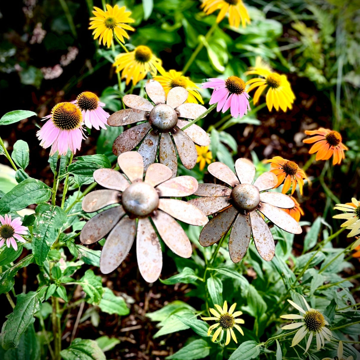 Metal Coneflowers | Yard Art