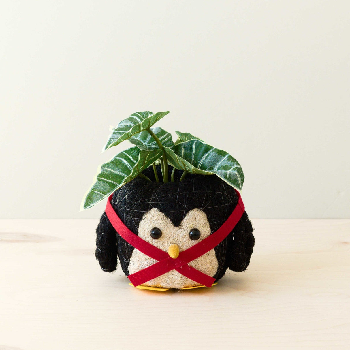 Penguin Planter - Coco Coir Pot