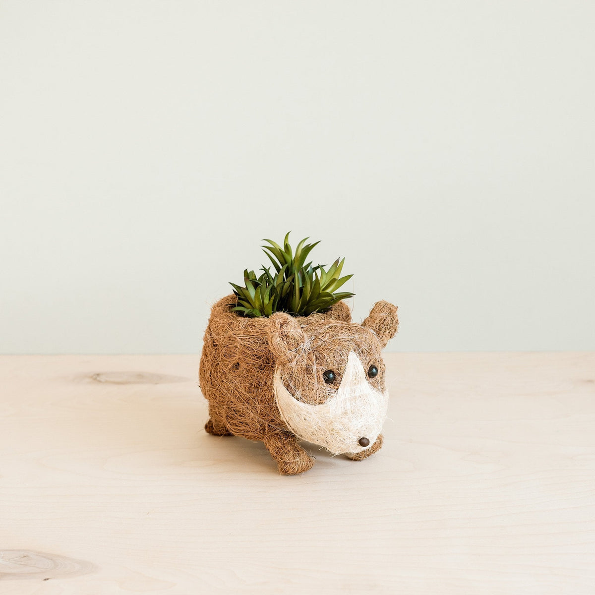 corgi succulent pot Baby Corgi Succulent Pot