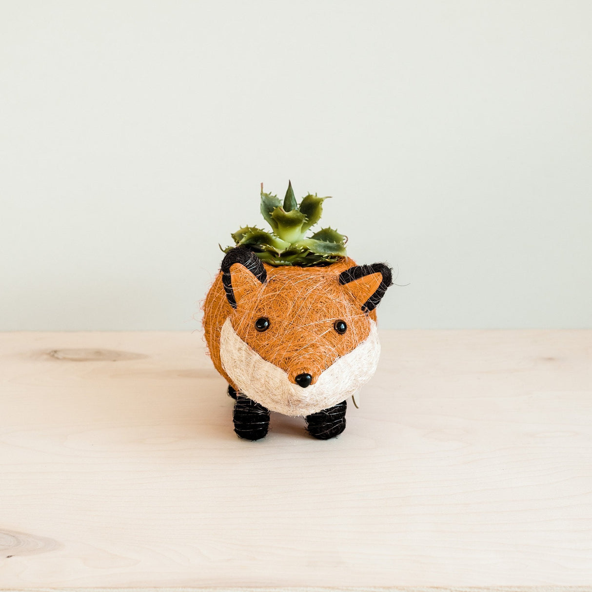 Baby Fox Coir Planter
