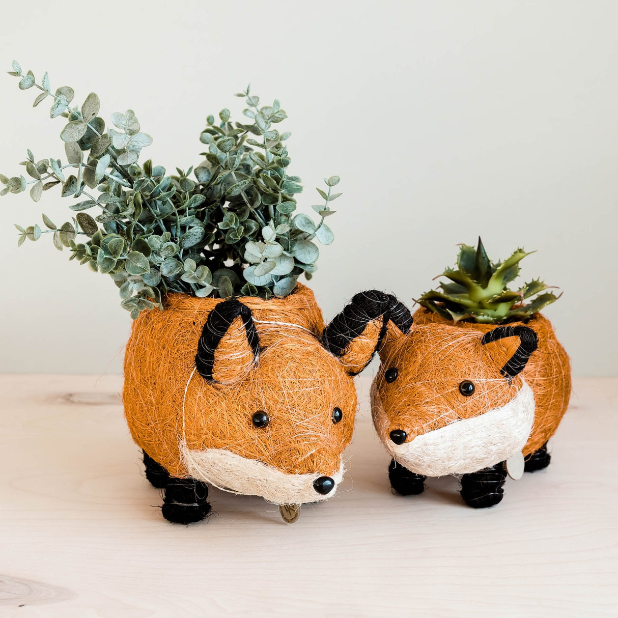 Baby Fox Coir Planter