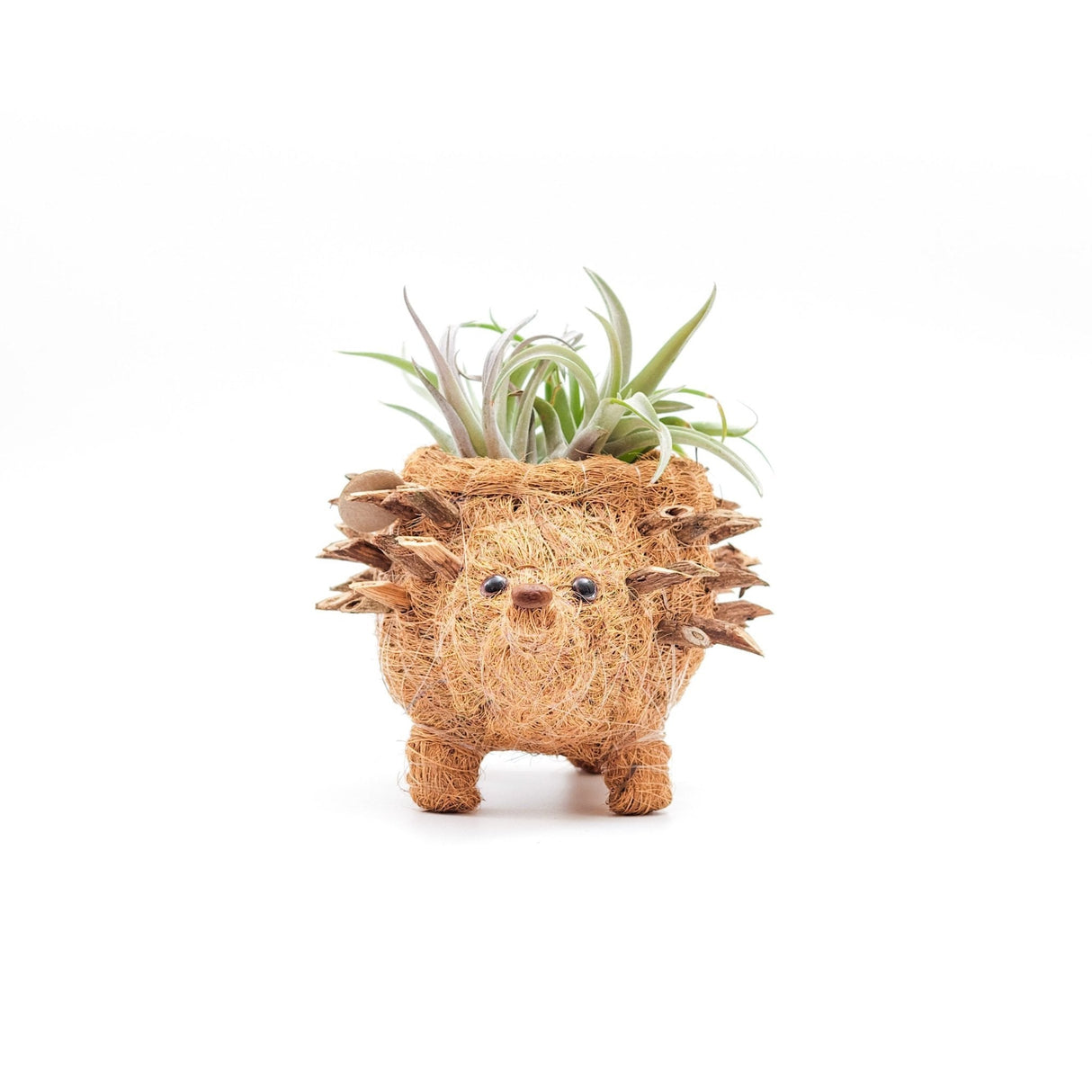 Baby Hedgehog Plant Pot - Handmade Planters | LIKHÂ