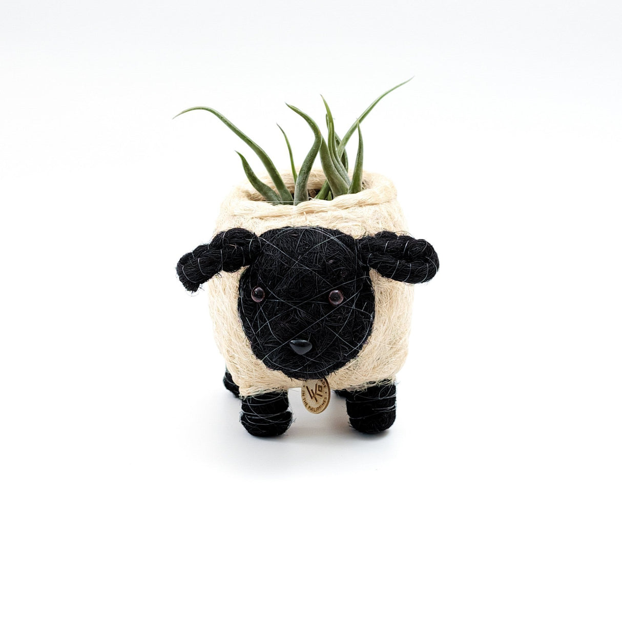 Baby Sheep Planter - Coco Coir Pots