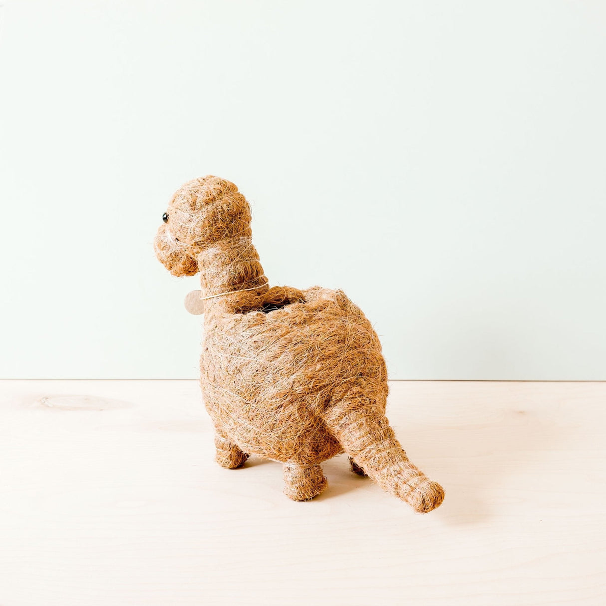 Brontosaurus Planter - Coco Coir Pots