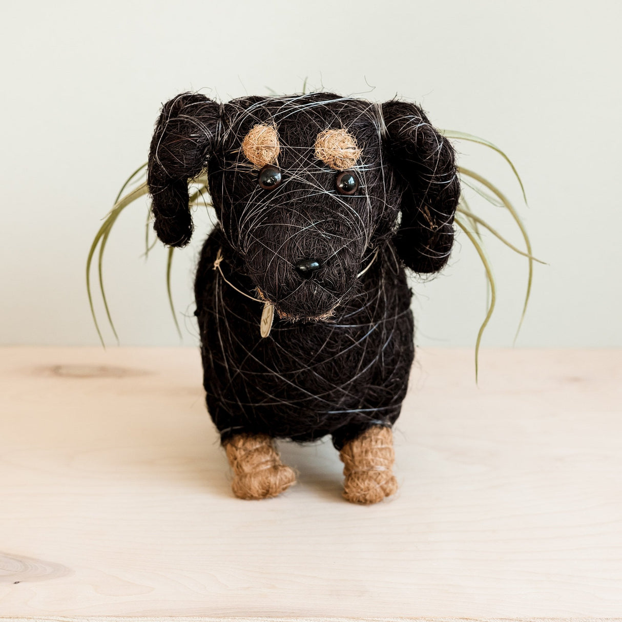 Dachshund Dog Coir Planter