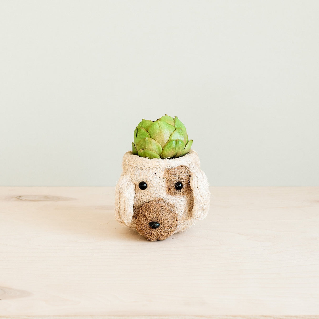 Dog Succulent Planter - Animal Head Plant Pot