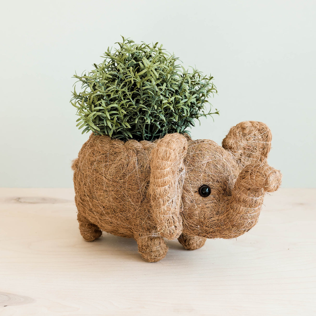 Elephant Coir Plant Pot