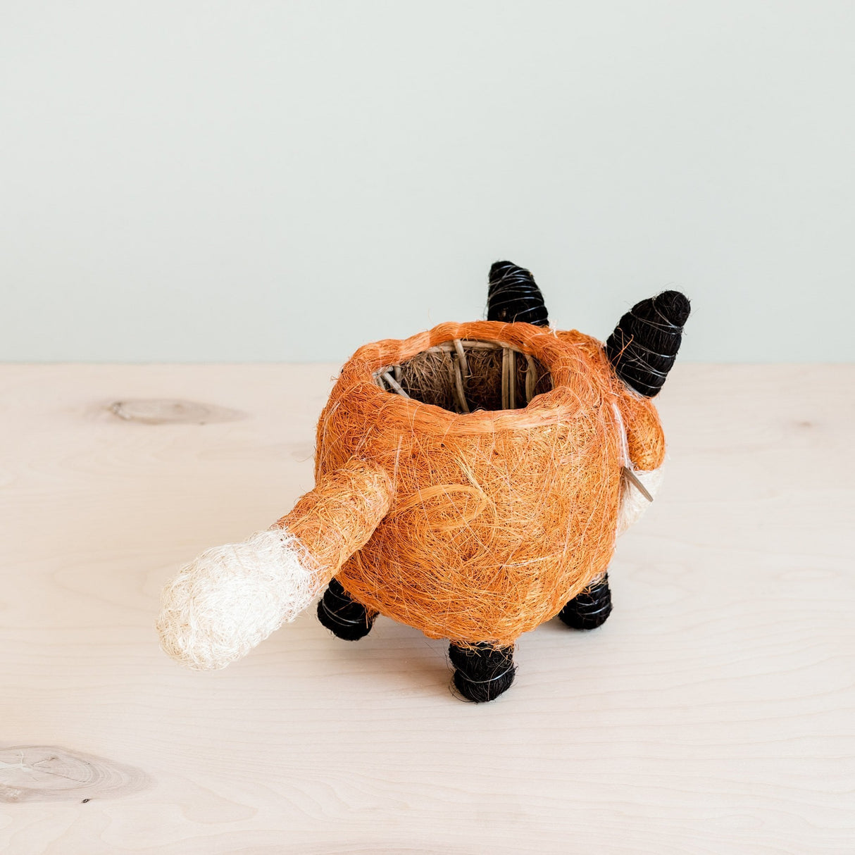 Fox Coir Planter