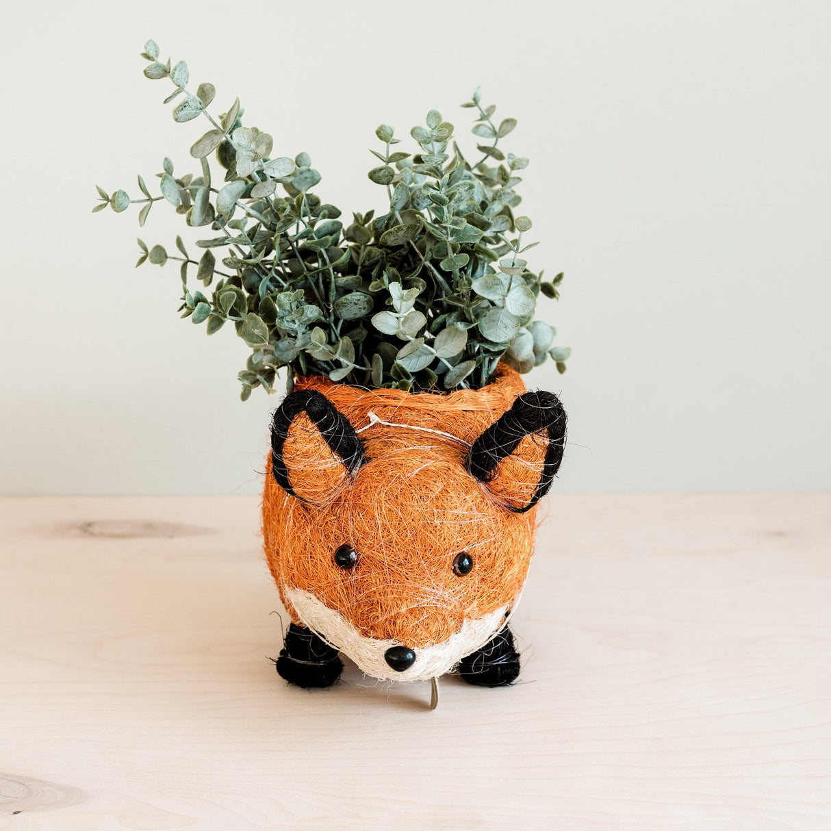 Fox Coir Planter