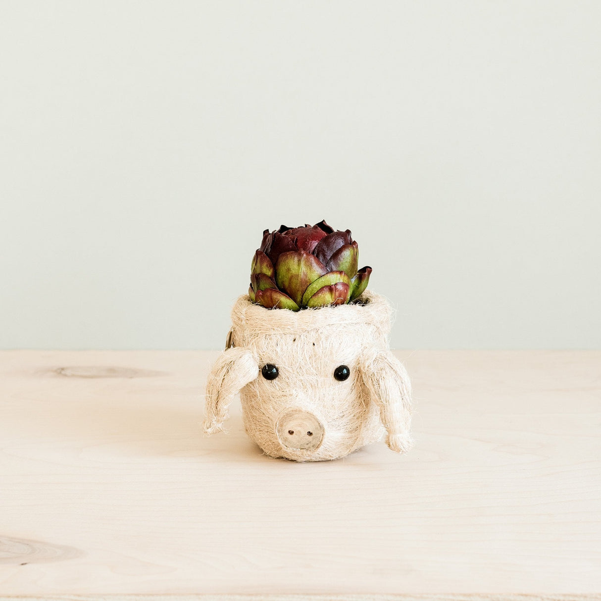 Pig Plant Pot - Animal Head Plant Pot